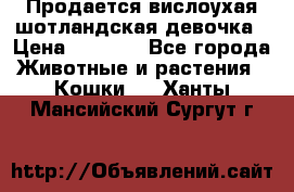 Продается вислоухая шотландская девочка › Цена ­ 8 500 - Все города Животные и растения » Кошки   . Ханты-Мансийский,Сургут г.